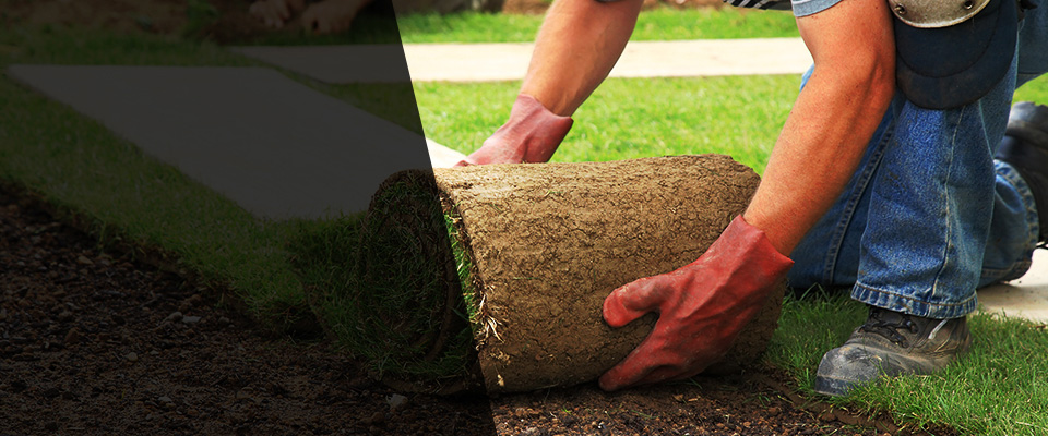 North Richland Hills Landscapers